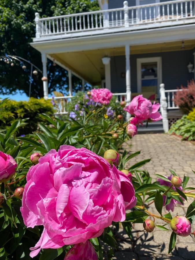 Toba'S Bed & Breakfast ルーネンバーグ エクステリア 写真