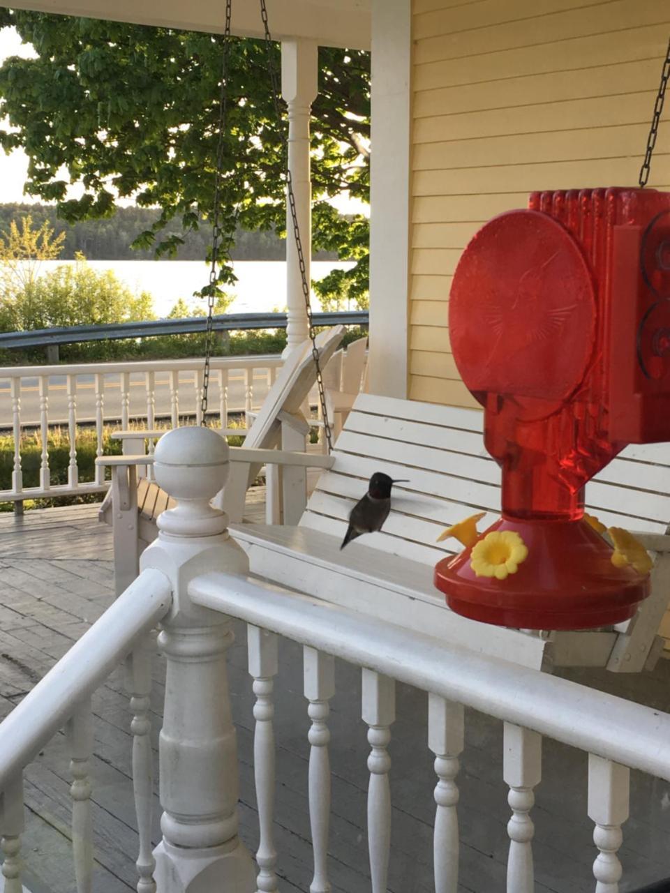 Toba'S Bed & Breakfast ルーネンバーグ エクステリア 写真